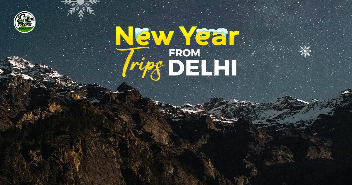 New Year tour 2026